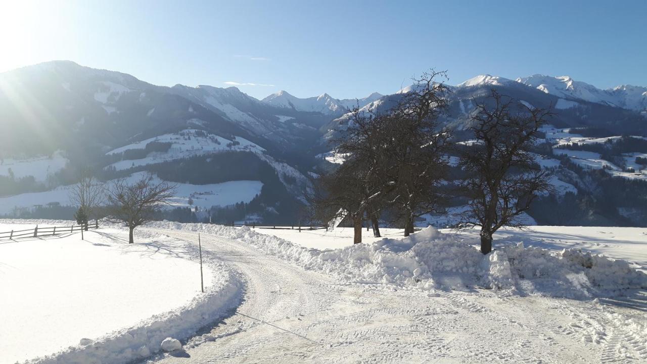 Appartamento Kulmerhof - Farm Pruggern Esterno foto