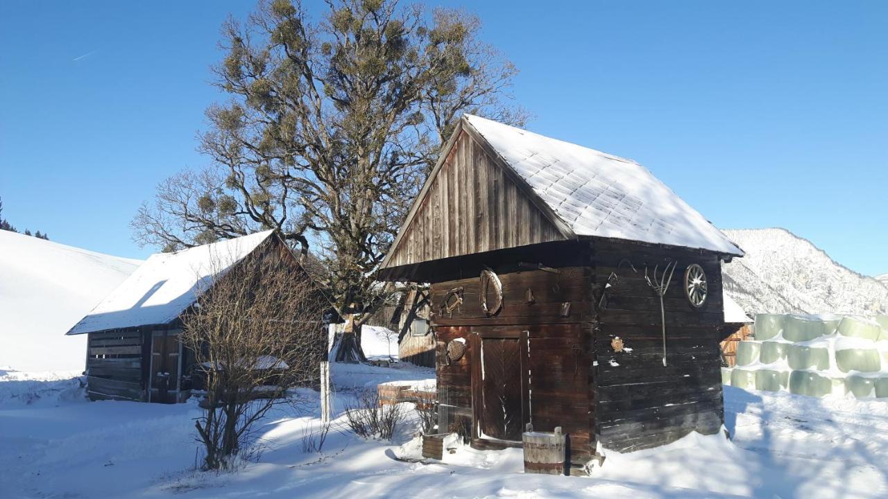 Appartamento Kulmerhof - Farm Pruggern Esterno foto
