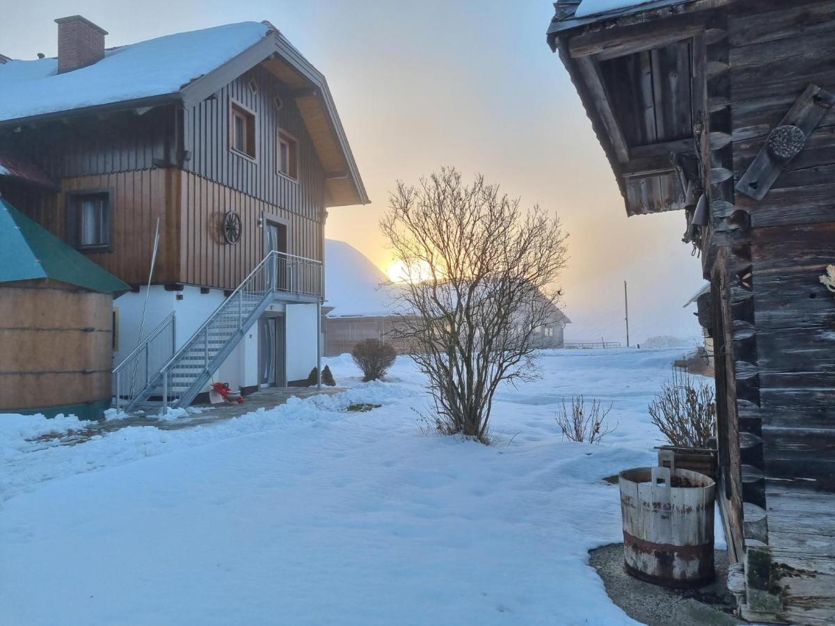 Appartamento Kulmerhof - Farm Pruggern Esterno foto