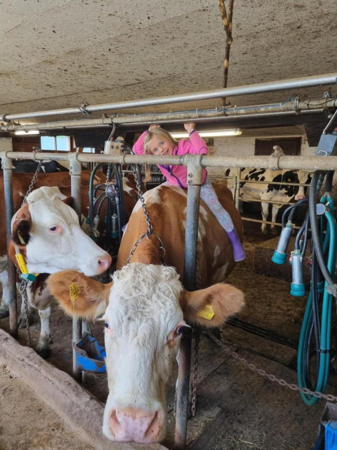 Appartamento Kulmerhof - Farm Pruggern Esterno foto