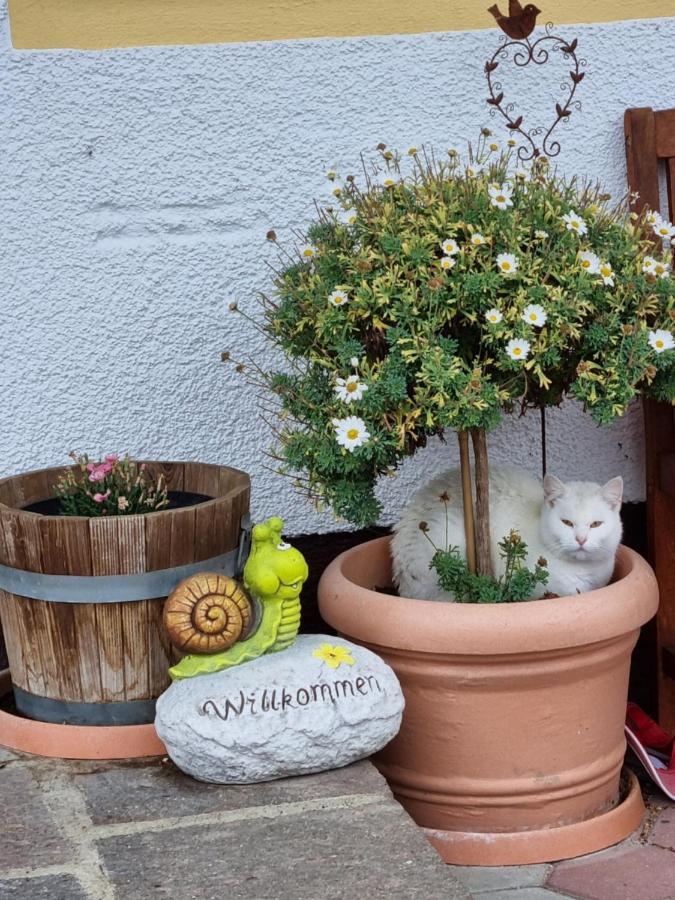 Appartamento Kulmerhof - Farm Pruggern Esterno foto