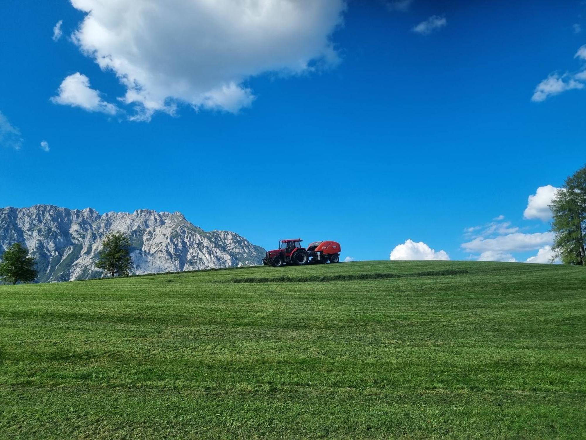 Appartamento Kulmerhof - Farm Pruggern Esterno foto