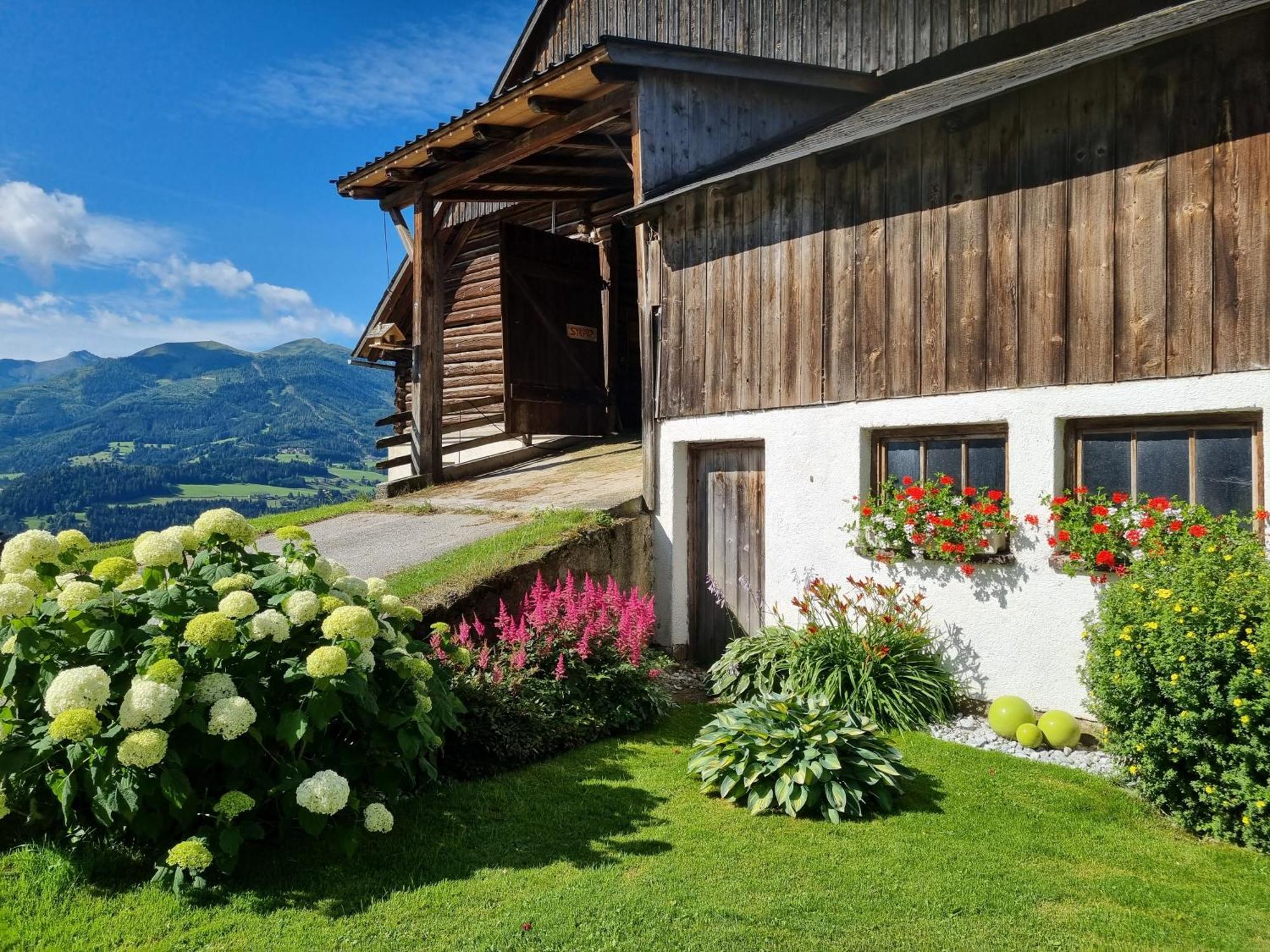 Appartamento Kulmerhof - Farm Pruggern Esterno foto