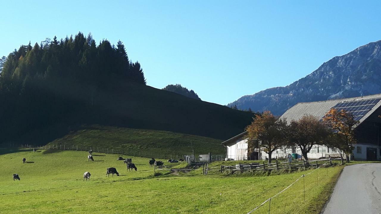 Appartamento Kulmerhof - Farm Pruggern Esterno foto